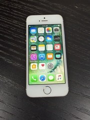 Apple iPhone 5s 16GB iOS 10.3.3 Gold Carrier Unknown Fully Functional Grade B