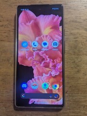 Android pixel 6 rooted Pokemon go spoofing phone safe Monster Hunter