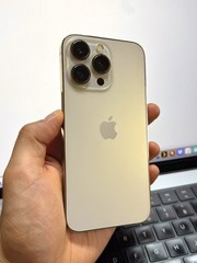 Apple iPhone 13 Pro 256GB Factory Unlocked Gold (Rear Cam Issue) #24550