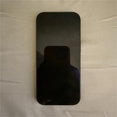 Apple iPhone 16 Pro Black Bar Smartphone Triple Rear Camera 20+ MP
