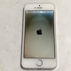 Apple iPhone 5 5s Silver GSM A1533 Locked Carrier Unknown AS IS