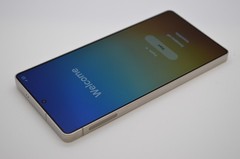 Samsung Galaxy S25 Ultra 256GB [SM-S938U1] Titanium Gray (Unlocked) #B376