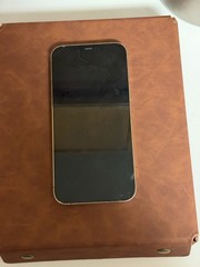 Apple iPhone 12 Pro Max 128GB Gold Carrier Unlocked (Read Description)
