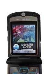 Motorola RAZR V3 – 5.5 MB – Black, Working