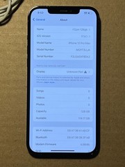 Apple iPhone 12 Pro Max- 128GB – Pacific Blue Unlocked A2342 READ