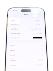 Apple iPhone 16 Pro Max A3084 256GB Fair Condition | Gold | SPECTRUM |