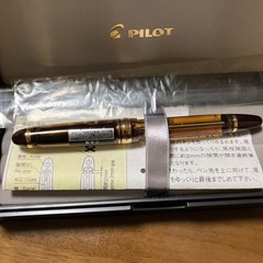 Pilot Namiki CUSTOM 823 FKK-3MRP-NC-M Plunger Type Transparent Clear Fine Nib
