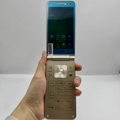 Samsung Galaxy Folder SM-G1600 Unlocked 4G 16GB 3.8 in Dual SIM Flip Phone GOLD