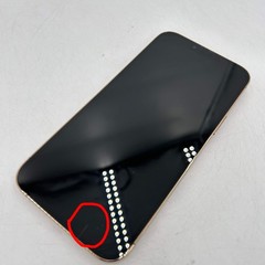 Broken Unlocked Apple iPhone 13 Pro Max 128GB 17.5.1 MLKN3LL/A Cracked
