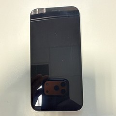 Apple iPhone 12 Factory Unlocked Black Dual SIM (SIM+eSIM) iOS 12MP Camera