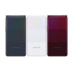 Samsung Galaxy Folder2 32G SM-G160N Unlocked LTE 2021.ver