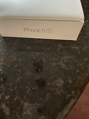 Apple iPhone 6s – 32GB – Silver (Verizon) A1688 (CDMA + GSM)