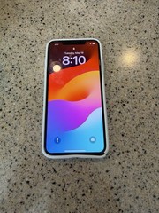 iPhone XS Max Unlocked Smartphone 64GB