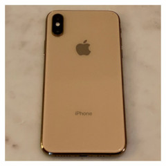 Apple iPhone XS 64GB/256GB Unlocked – Mint Gray, Silver, Gold, Free Ship!