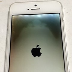 Apple iPhone 5 5s Silver GSM A1533 Locked Carrier Unknown AS IS