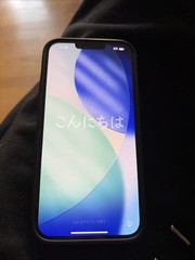 Apple iPhone 13 Pro Max A2484 128GB Unlocked phone