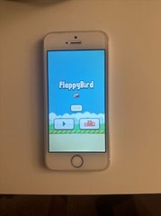 Original FB Gears 2013 – Apple iPhone 5s – 16GB – Silver (AT&T) A1533 (GSM)